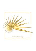 3D seashell nautilus, gold logo. Golden Ratio with smooth shape. Can be used for advertising, marketing, presentation, card and flyer, technological science. isolated on white background vector