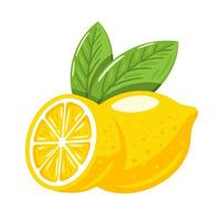 Yellow citrus lemon isolated on white background vector