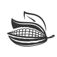 Cocoa pod with leaf icon isolated on white background vector