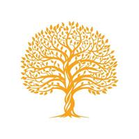 an orange tree with leaves on it vector
