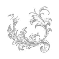 a stylized design of a leaf on a white background vector