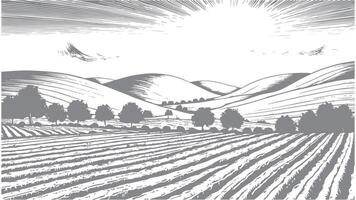 a black and white illustration of a field with trees and mountains vector
