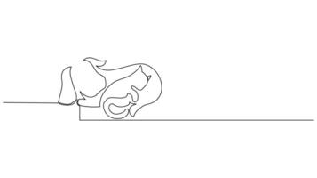 Continuous Single line drawing of two cats cuddling vector