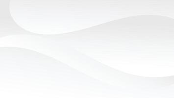 abstract white gradient color background with dynamic curve lines decoration vector