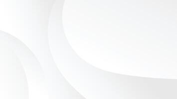 abstract white gradient color background with curve and swirl lines decoration vector