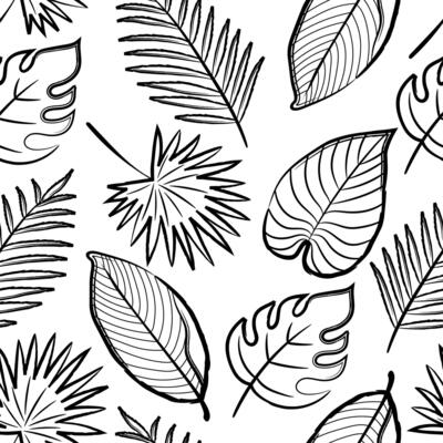Summer hand drawn black crayon elements background. Exotic tropical leaves seamless pattern. Monstera, Rhopalostylis, Areca, Banana, palm tree. Doodle brush style on white background.
