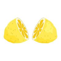 Fresh lemon cut in half on white background. Illustration in flat style. vector