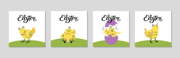 Easter Greeting Card Set. Yellow baby bird in various poses, sleeping, Singing, in an eggshell. Square spring posters for social media, invitation, decorations in room. illustration. vector