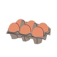 Chicken eggs in an open cardboard package. The egg box is isolated on a white background. vector