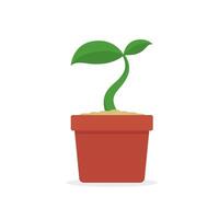 Sprout illustration isolated on white background vector