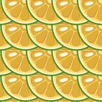 Jackfruit slices seamless botanical pattern vector