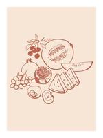 Simple composition with hand drawn fruits and berries. Melon, grapes, pomegranate, cherry and watermelon vector