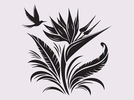 Sophisticated Black Silhouette of Bird of Paradise Flower for Artists vector