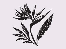 Black Silhouette of Bird of Paradise Flower for Tropical Art Lovers vector