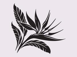 Decorative Black Silhouette of Bird of Paradise Flower for Art Ideas vector