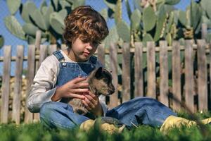 Calm kid stroking dwarf goat on lawn in village photo