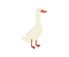 A simple and minimalistic digital illustration of a white goose standing on two legs. The goose drawn in modern flat design with soft pastel colors. vector