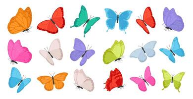 Big set of flying colorful butterflies. Collection of spring and summer insect for decor. vector