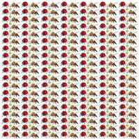 ladybug, bee with fruit as a pattern background vector