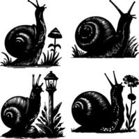 Set of Various Snail Shell Outlines in Black and White Ink Illustration Art vector