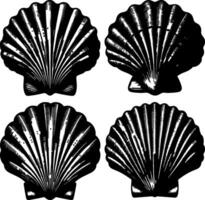Set of Four Black and White Scallop Shells Illustration for Design Projects vector