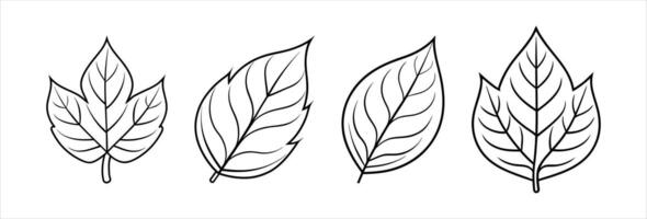 Set of simple leaf silhouettes on a clean white background. vector