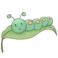 Caterpillar on a leaf with raindrops vector