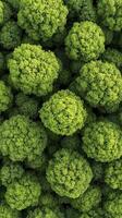 Vibrant Green Spherical Texture Background photo