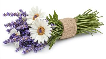 Rustic Lavender and Daisy Bouquet on White photo
