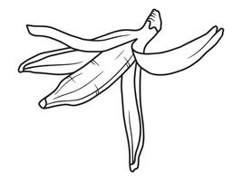 Sketch Banana Fruit Outline Illustration vector