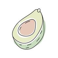 Freshly sliced avocado showing creamy texture and smooth inner flesh in a vibrant illustration vector