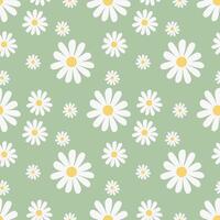 Seamless pattern with hand drawn chamomile flower on green background. vector