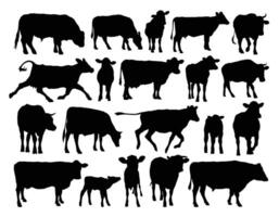 The set of cows and bulls silhouettes. vector