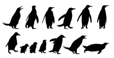 Set silhouettes of penguins. vector