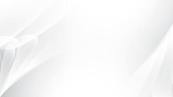 Abstract white and gray color, modern design stripes background with curve lines, vector