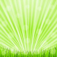 Abstract green background with grass vector