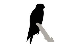 African hobby bird Silhouette vector