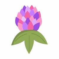 clover flower on white background. postcard decoration element. vector