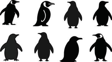 penguin silhouette set vector