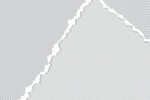 A rectangular paper frame in the retro style with jagged edges vector