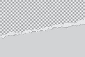 Ripped Torn paper sheet edge on Blank background with curled page, Chile Map for design, Long Shadow, Flat Design vector