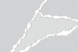 long shadow, flat design, ripped torn paper sheet edge on a blank background with a curled page, and a Chile map for design vector