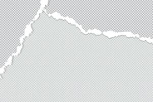 The edge of a torn paper sheet with a curled page on a blank background vector