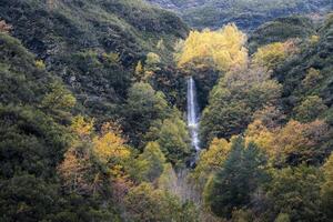 Waterfall with vertical fall of water between autumn forests photo