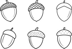 Acorn Outline Set - Hand-Drawn Oak Nut Illustrations vector