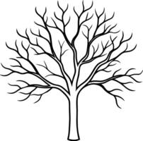 Bare Tree - Elegant Autumn and Fall Line Art vector
