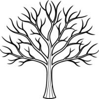 Bare Tree Line Art - Elegant Autumn and Fall Themed vector