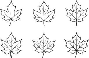 Set of Black Maple Leaf Outline Vectors - Simple Line Art for Coloring and Design