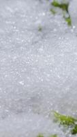 Macro time-lapse shot of shiny particles of melting snow and open green grass and leaf. Change of season from winter to spring in the forest, vertical footage video