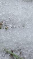 Macro time-lapse shot of shiny particles of melting snow and open green grass. Change of season from winter to spring in the forest. vertical footage video